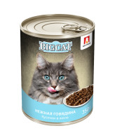Зоогурман Big Cat консервы для кошек кусочки в желе, Нежная говядина 350г