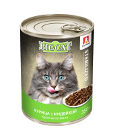 Зоогурман Big Cat консервы для стерилизованных кошек кусочки в желе, Курица с индейкой 350г