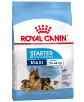 Royal Canin  Maxi Starter Корм для щенков крупных пород