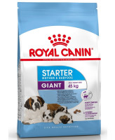 Royal Canin  Giant Starter Корм для щенков гигантских пород в возрасте до 2мес